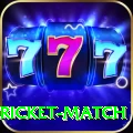 to day cricket match Deluxe Edition v5.3.5