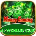 under 19 cricket world cup Premium v3.3.8