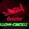 willow cricket Gold Pro v3.5.0