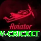 willow cricket Gold Pro v3.5.0