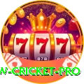 willow cricket Deluxe - Casino & Slots